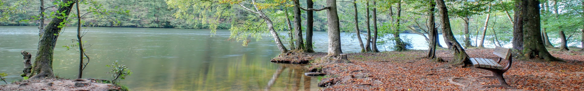 Der Rand eines kleinen Sees im Herbst, an dem eine Bank steht.  